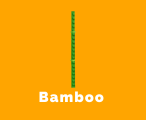 Bamboo