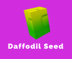 DaffodilSeed