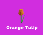 OrangeTulip