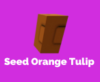 SeedOrangeTulip